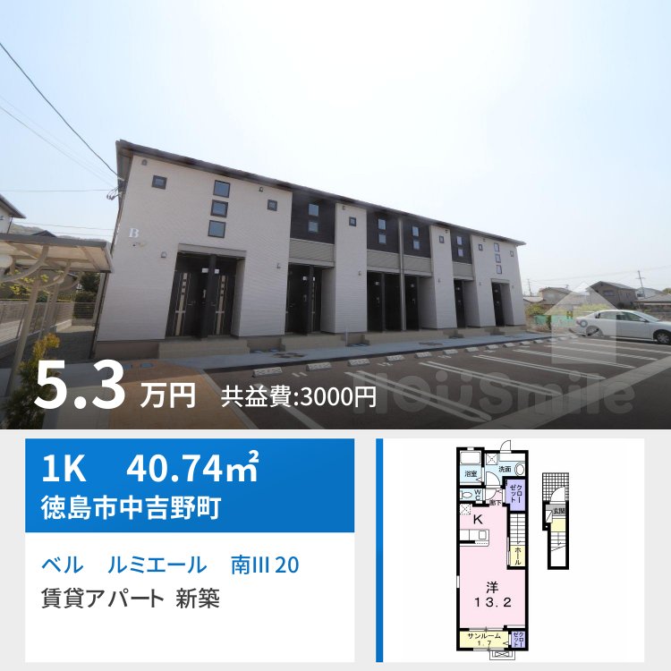 ベル ルミエール 南III 207