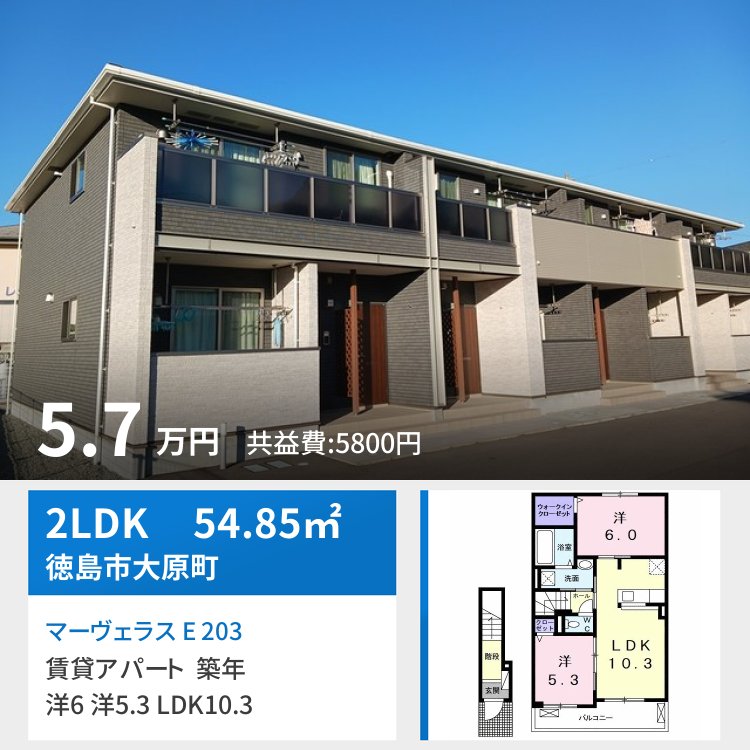 マーヴェラス E 203