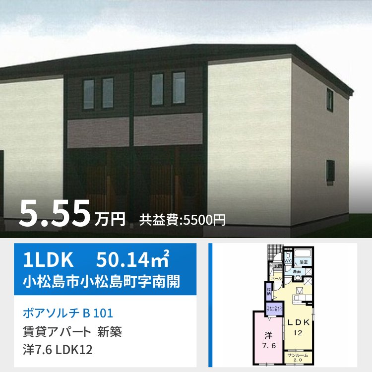 ボアソルチ B 101