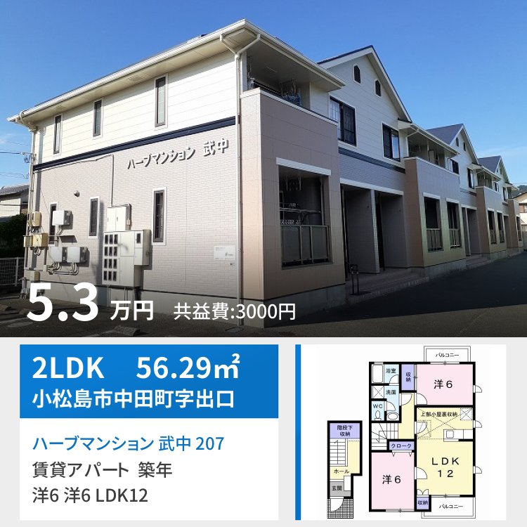 ハーブマンション 武中 207