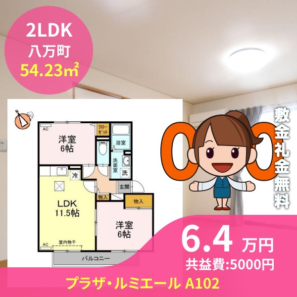 プラザ・ルミエール A102