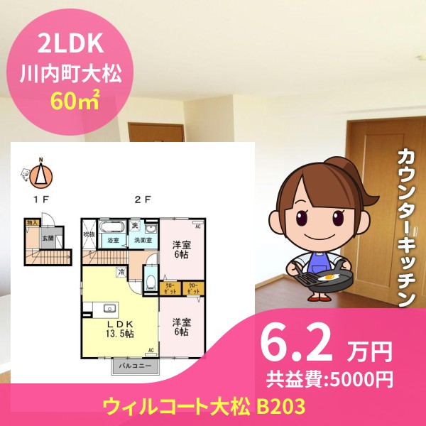 ウィルコート大松 B203