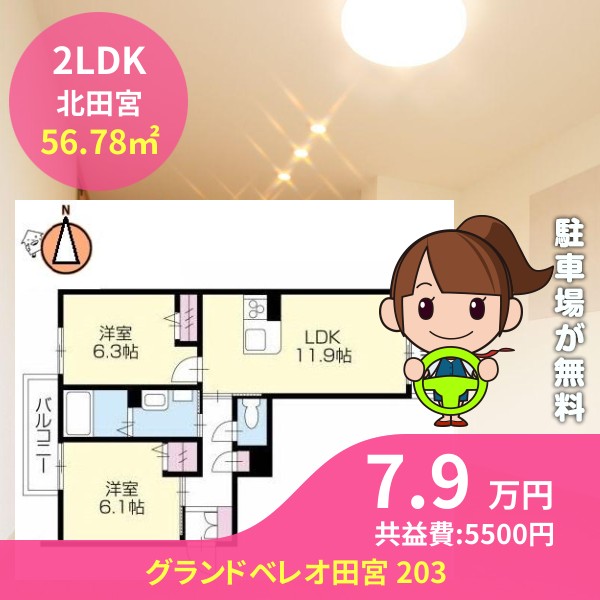 グランドベレオ田宮 203