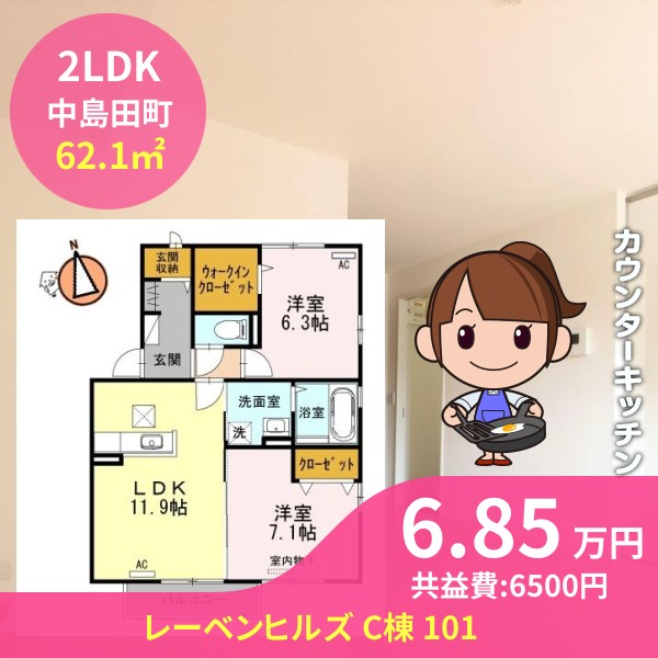 レーベンヒルズ C棟 101