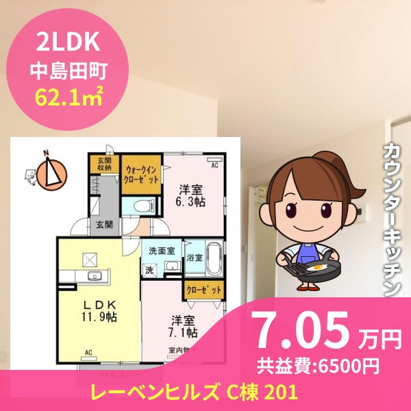 レーベンヒルズ C棟 201