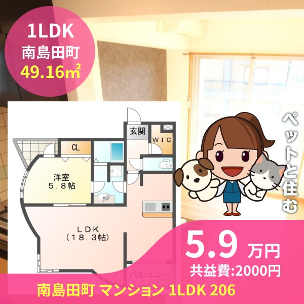南島田町 マンション 1LDK 206