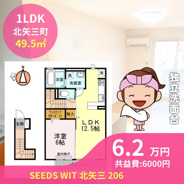 SEEDS WIT 北矢三 206