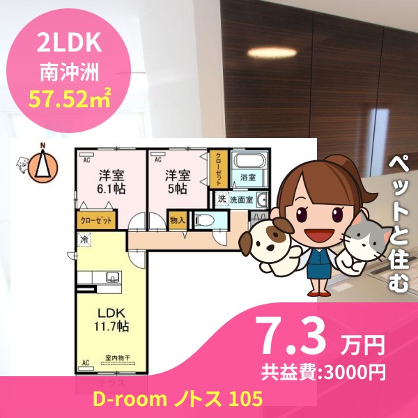 D-room ノトス 105