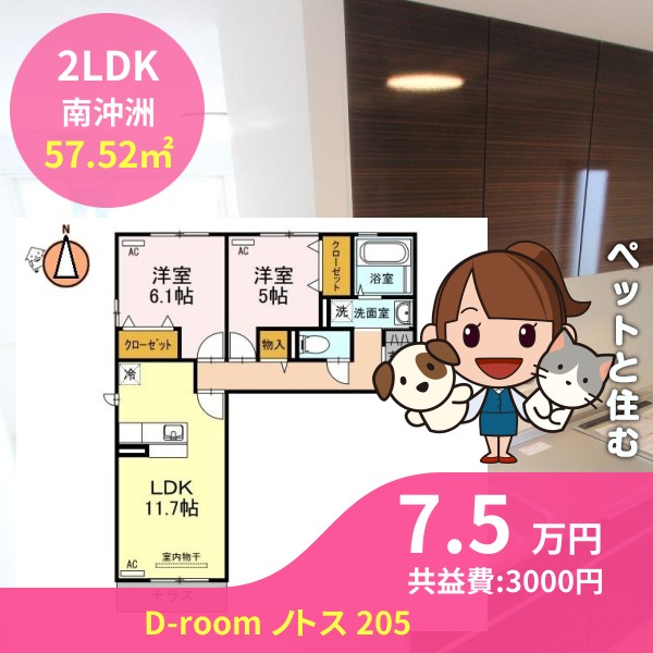 D-room ノトス 205