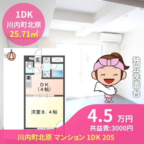 川内町北原 マンション 1DK 205