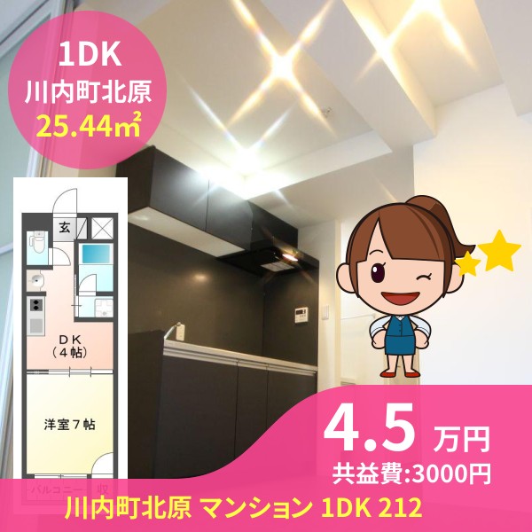 川内町北原 マンション 1DK 212