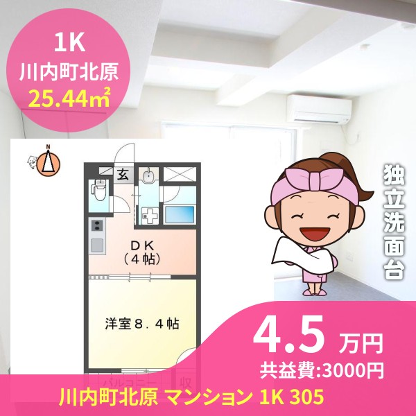 川内町北原 マンション 1K 305