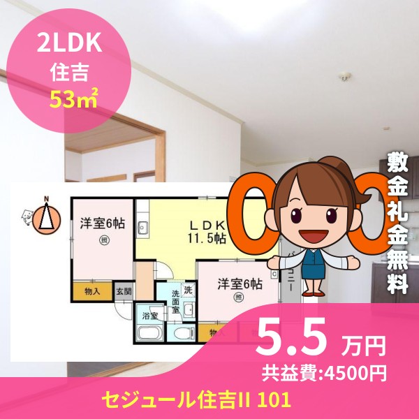 セジュール住吉II 101
