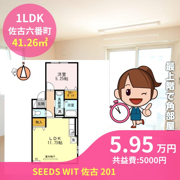 SEEDS WIT 佐古 201