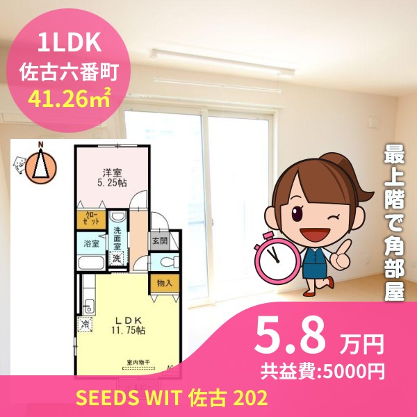 SEEDS WIT 佐古 202