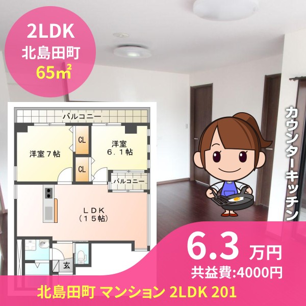 北島田町 マンション 2LDK 201