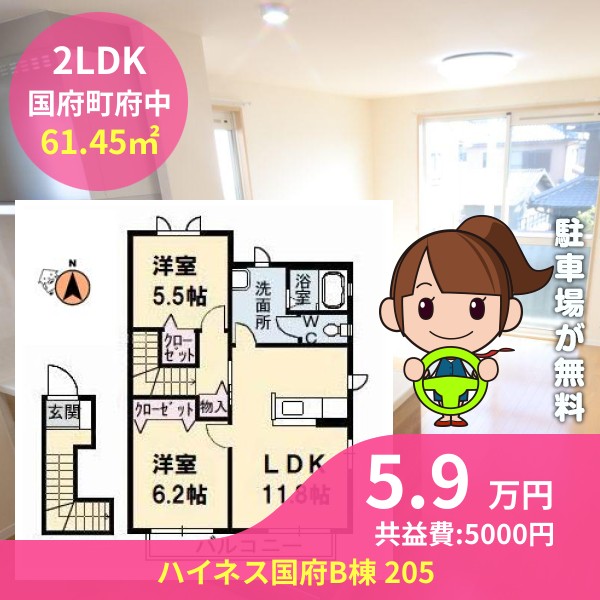 ハイネス国府B棟 205