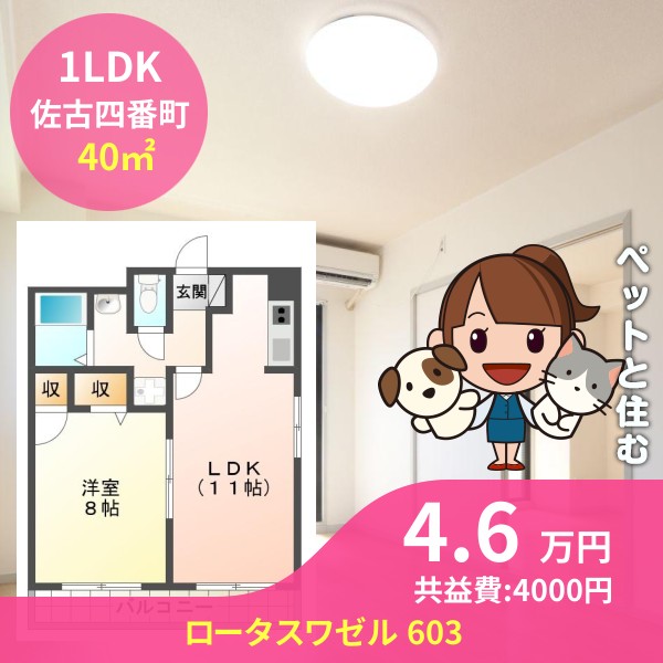 ロータスワゼル 603