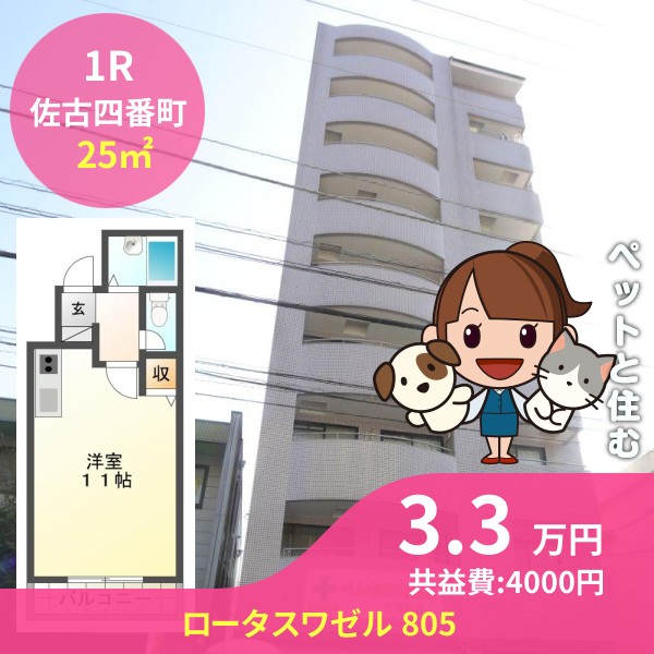 ロータスワゼル 805