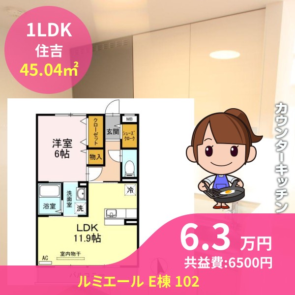 ルミエール E棟 102