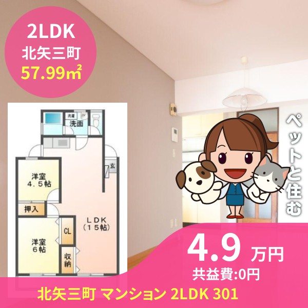 北矢三町 マンション 2LDK 301