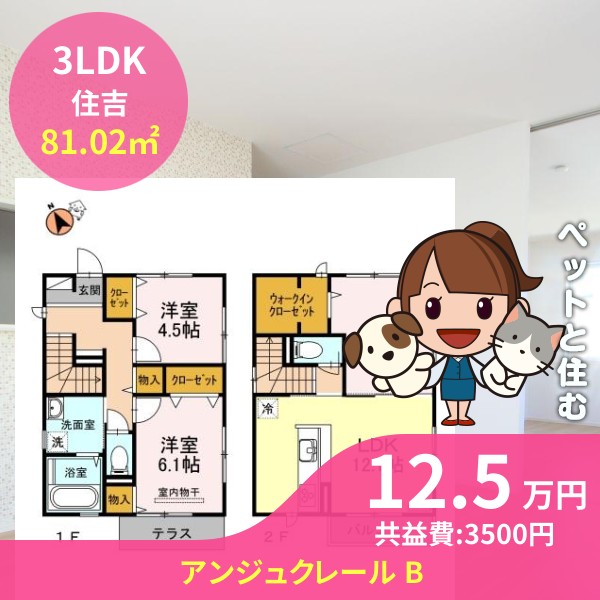 アンジュクレール B