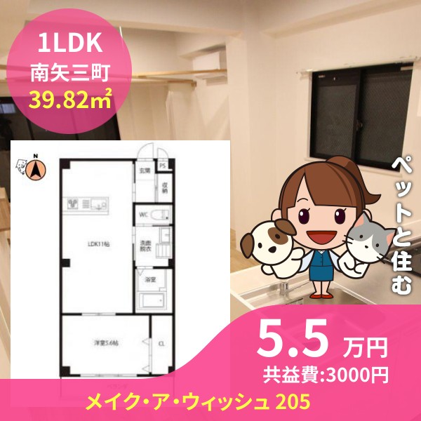 メイク・ア・ウィッシュ 205