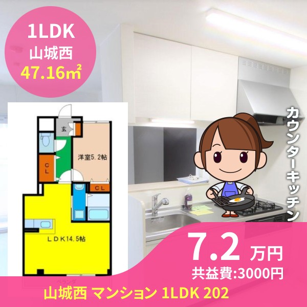 山城西 マンション 1LDK 202