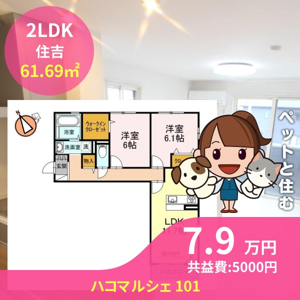 ハコマルシェ 101