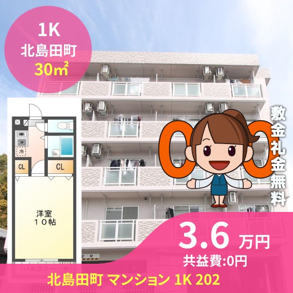 北島田町 マンション 1K 202