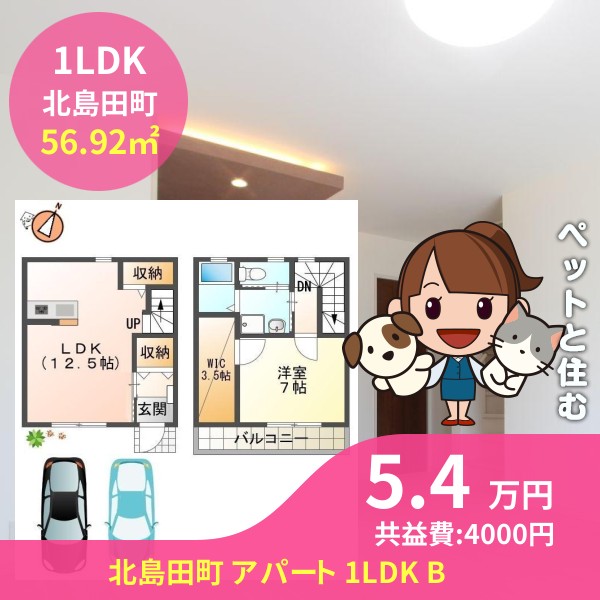 北島田町 アパート 1LDK B