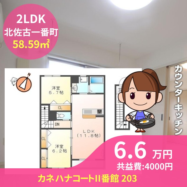 カネハナコートII番館 203
