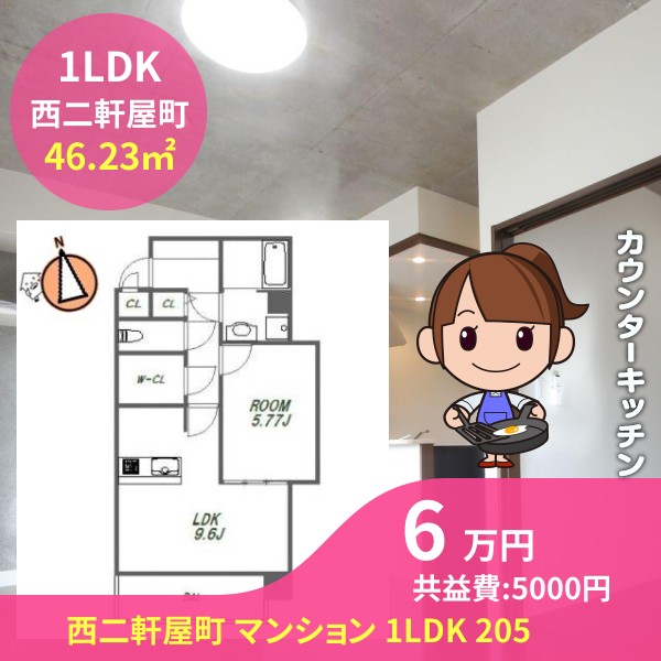 西二軒屋町 マンション 1LDK 205
