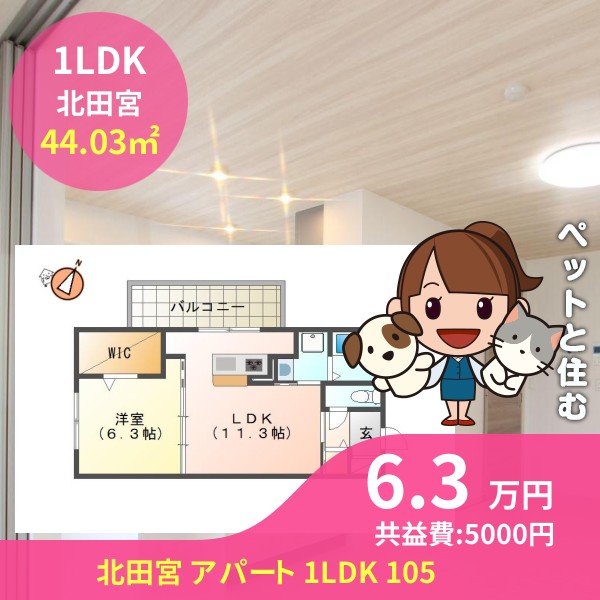 北田宮 アパート 1LDK 105