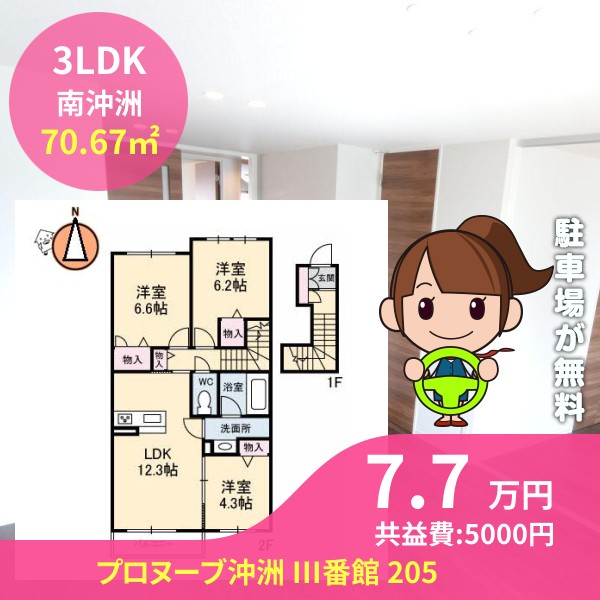 プロヌーブ沖洲 III番館 205