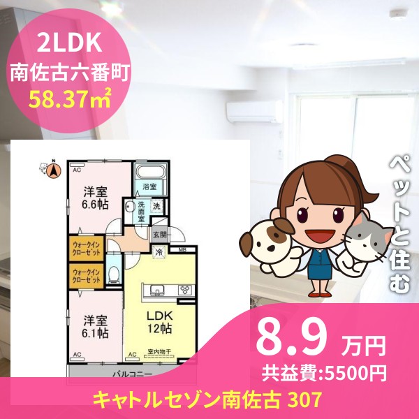 キャトルセゾン南佐古 307