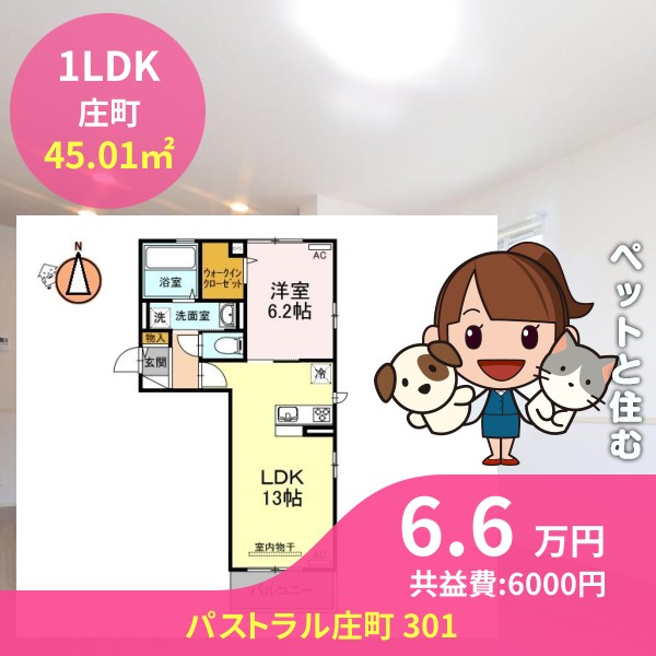 パストラル庄町 301