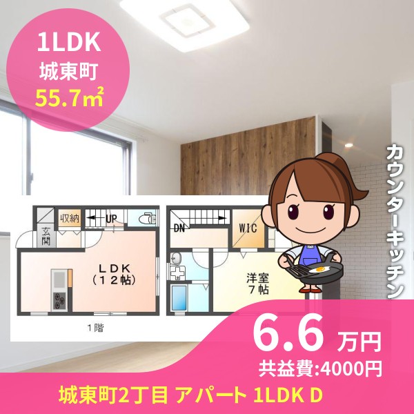 城東町2丁目 アパート 1LDK D