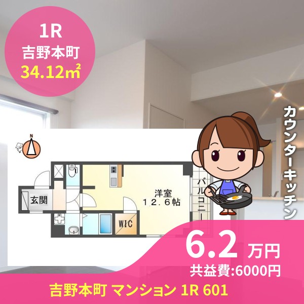 吉野本町 マンション 1R 601