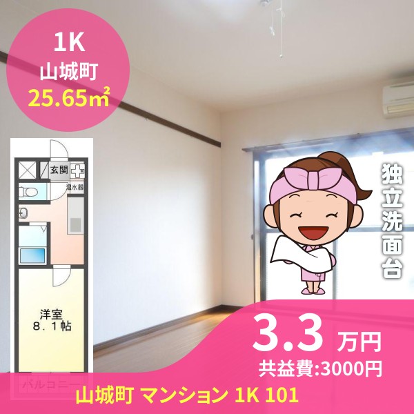 山城町 マンション 1K 101