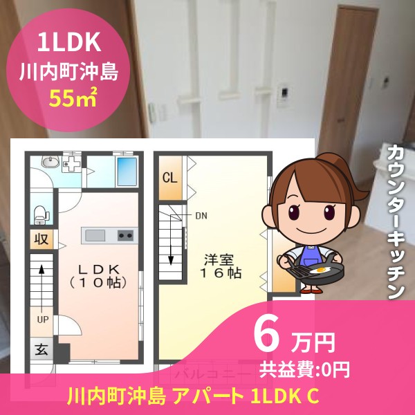 川内町沖島 アパート 1LDK C
