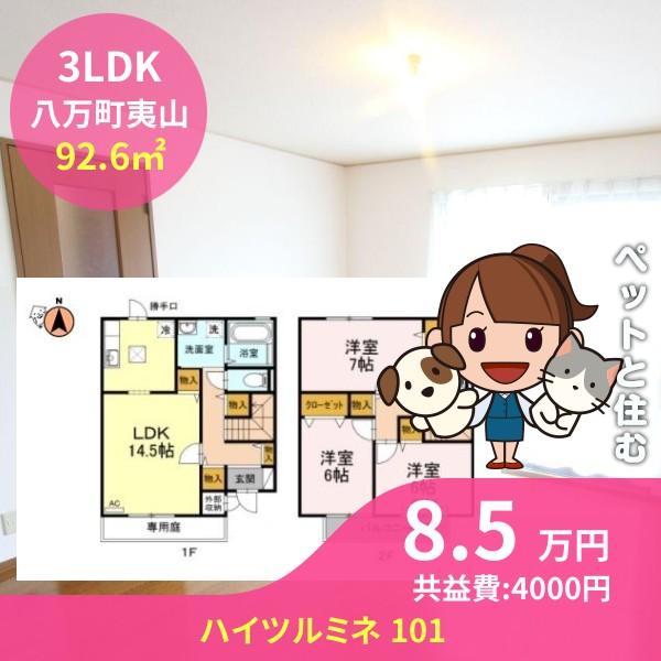 ハイツルミネ 101