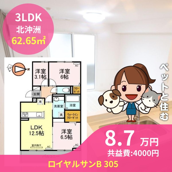 ロイヤルサンB 305