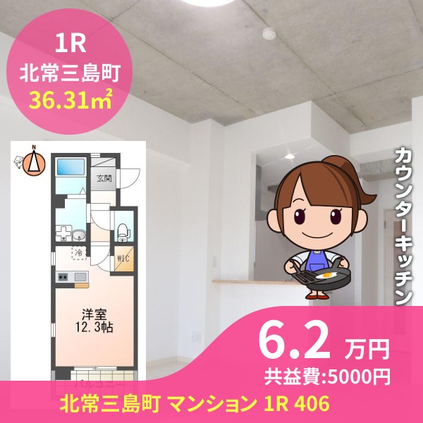 北常三島町 マンション 1R 406