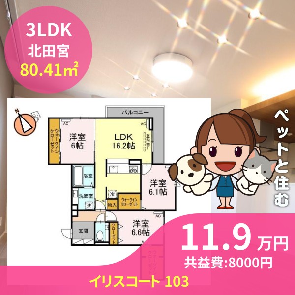 イリスコート 103