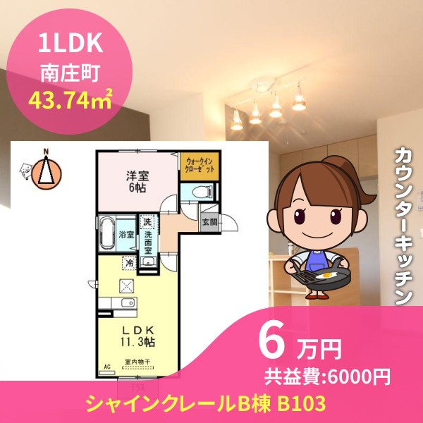 シャインクレールB棟 B103