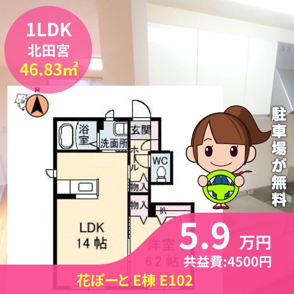 花ぽーと E棟 E102