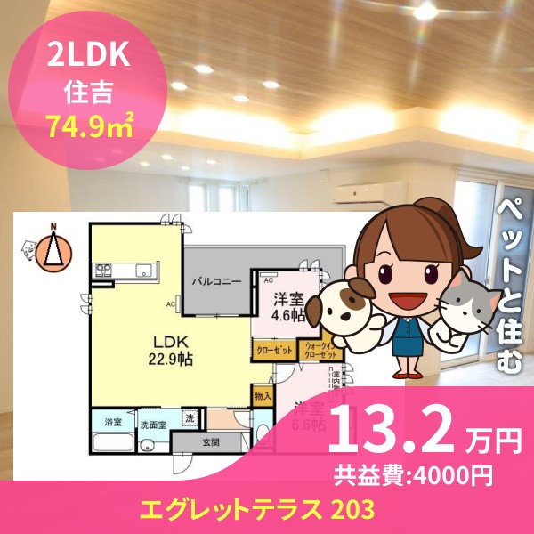 エグレットテラス 203