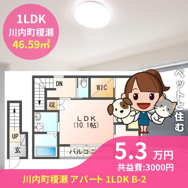 川内町榎瀬 アパート 1LDK B-2