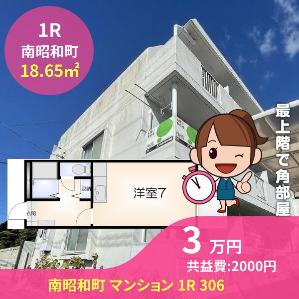 南昭和町 マンション 1R 306